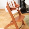 Highchair Evosit Rust